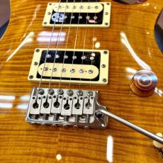 Paul Reed Smith [PRS] SE Custom 24_6