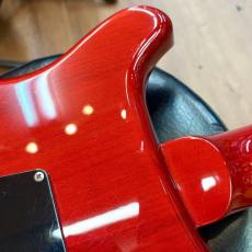 Paul Reed Smith [PRS] SE Custom 24_7