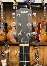 Taylor 110e #2103277215【2017年製/USED】_5