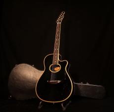 Terry's Terry TS CUSTOM ”長渕剛モデル”【1992年初期モデル まるで長渕氏本人のギターを思わせる貫禄ある風格も魅力! 〇にたいぐらいに憧れた生粋のファンの方ぜひご検討ください! 】解説試奏動画ご覧ください。