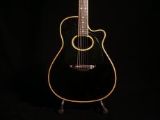 Terry's Terry TS CUSTOM ”長渕剛モデル”【1992年初期モデル まるで長渕氏本人のギターを思わせる貫禄ある風格も魅力! 〇にたいぐらいに憧れた生粋のファンの方ぜひご検討ください! 】解説試奏動画ご覧ください。_2