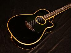 Terry's Terry TS CUSTOM ”長渕剛モデル”【1992年初期モデル まるで長渕氏本人のギターを思わせる貫禄ある風格も魅力! 〇にたいぐらいに憧れた生粋のファンの方ぜひご検討ください! 】解説試奏動画ご覧ください。_4