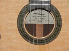 Teodoro Perez [テオドロ・ペレス] Concierto【コンシエルト】640mm_5