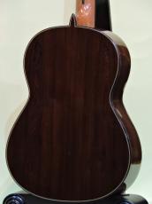 Teodoro Perez [テオドロ・ペレス] Concierto【コンシエルト】640mm_6