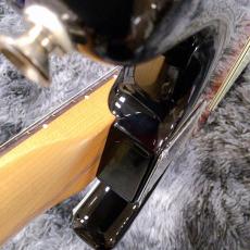 Fender Limited Edition Player II Stratocaster Roasted Maple Neck 3-Color Sunburst / Rosewood【限定モデル】_10
