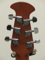 Ovation CE48P-RG-G_6