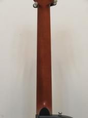 Ovation CE48P-RG-G_8