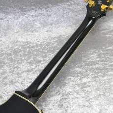 HISTORY HS-LC 【Heritage Wood使用モデル】_9