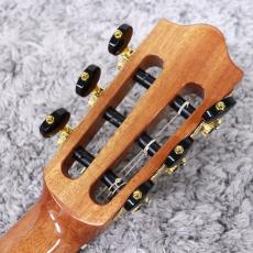Martinez MP-14 MAPLE ARTIST_5