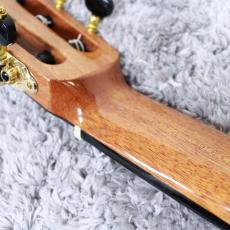 Martinez MP-14 MAPLE ARTIST_10