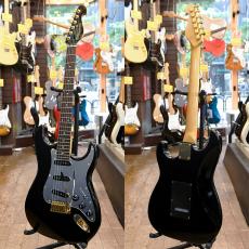 Bill Lawrence BM2R-55G_2