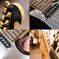 Bill Lawrence BM2R-55G_3