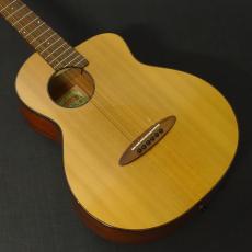 aNueNue Bird M 12_3