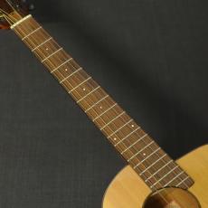 aNueNue Bird M 12_5