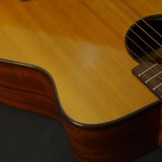 aNueNue Bird M 12_9