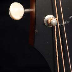 Guild F-40 STANDARD NAT_8