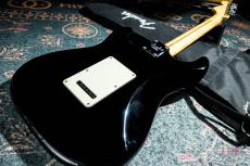 Fender American Professional Stratocaster HSS / 2017_8