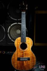 Kamaka HF-3D2I / 2020_2
