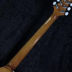 T's 【美麗アヴァロン】Arc-STD24 5A Quilt Maple/ Honduras Mahogany/ Turquoise Burst【3.67kg】_10