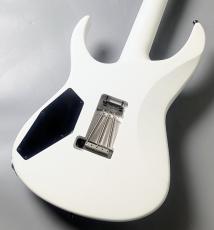 Edwards E-CY -Snow White Satin-_7