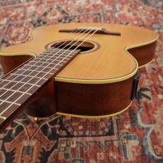 Takamine TSP148NC NS Thinline_4