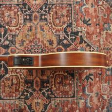 Takamine TSP148NC NS Thinline_5