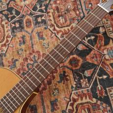 Takamine TSP148NC NS Thinline_7