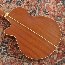 Takamine TSP148NC NS Thinline_9