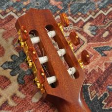 Takamine TSP148NC NS Thinline_11