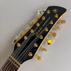 YAMAHA SG-12AS 30th Anniversary Moss Green_4