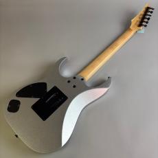 Ibanez RG2570E VSL_6