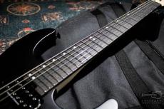 Charvel Pro-Mod Series Dinky DK24 HH HT E / 2024_4