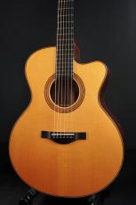 Ed Claxton MODEL EM Cutaway_2