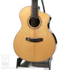 Dowina Cocobolo GAC-tds【36回無金利対象品】
