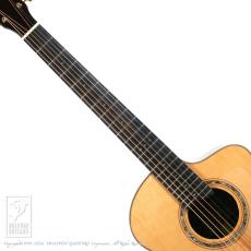 Dowina Cocobolo GAC-tds【36回無金利対象品】_5