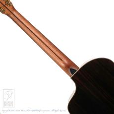 Dowina Cocobolo GAC-tds【36回無金利対象品】_6