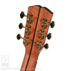 Dowina Cocobolo GAC-tds【36回無金利対象品】_8