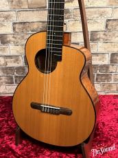 aNueNue アヌエヌエ Bird  MN-14E【中古】 _3