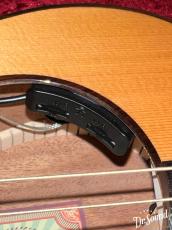 aNueNue アヌエヌエ Bird  MN-14E【中古】 _8