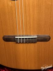 aNueNue アヌエヌエ Bird  MN-14E【中古】 _10