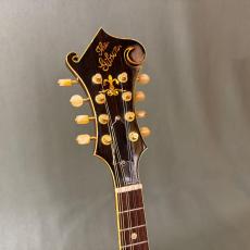 Gibson F-12_4