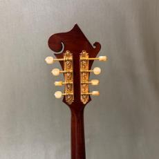 Gibson F-12_5