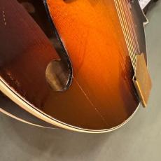 Gibson F-12_9