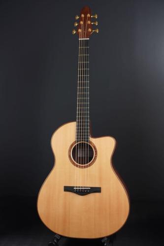 Mukae Guitars MSS