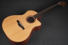 Mukae Guitars MSS_10