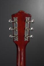 Guild D-35_8
