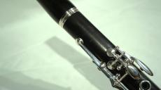 Buffet Crampon E13 #K240495_2
