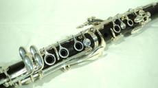 Buffet Crampon E13 #K240495_4