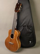 aNueNue AAA2E Concert_11