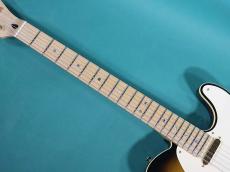 Fender Japan TLR-145RK BS _7